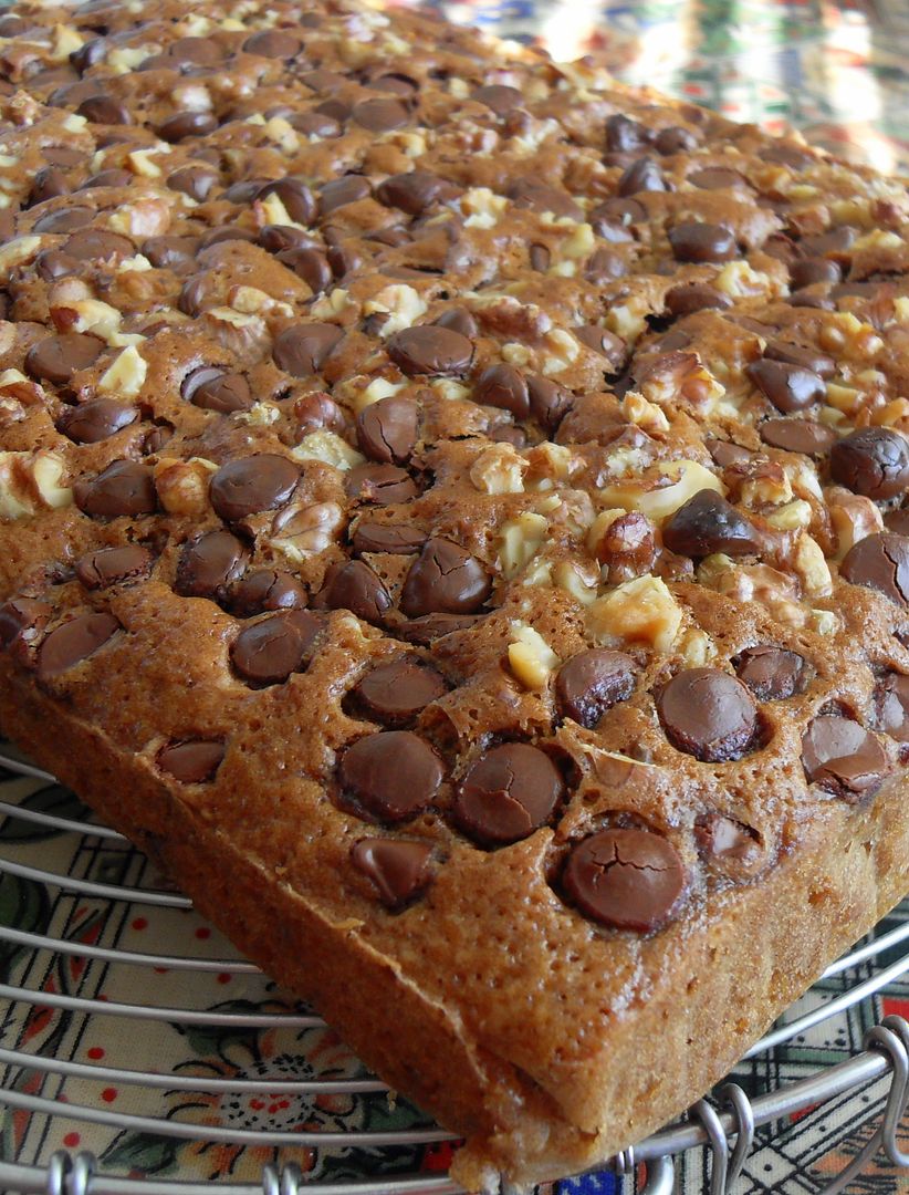 Chocolate Chip Oatmeal Cake | Cooking and Recipes | Before It's News
